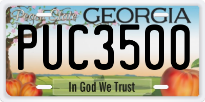 GA license plate PUC3500