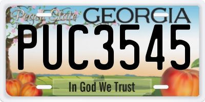 GA license plate PUC3545