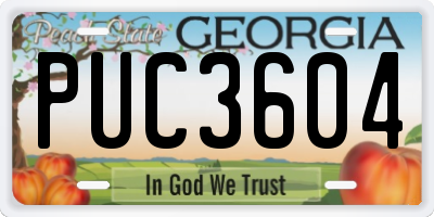 GA license plate PUC3604