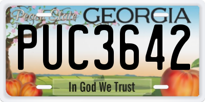 GA license plate PUC3642