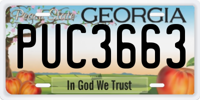 GA license plate PUC3663