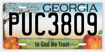 GA license plate PUC3809
