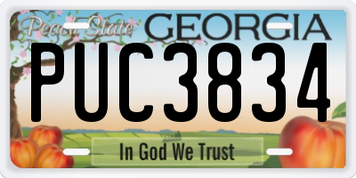 GA license plate PUC3834