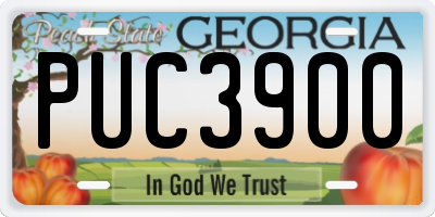 GA license plate PUC3900