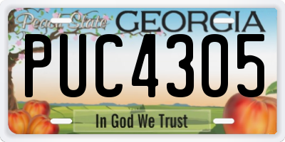 GA license plate PUC4305