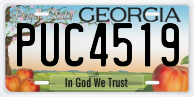 GA license plate PUC4519