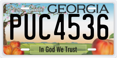 GA license plate PUC4536