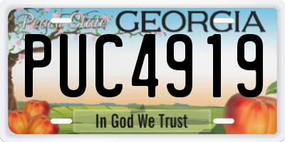 GA license plate PUC4919
