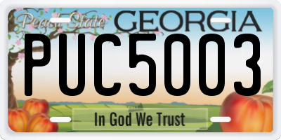 GA license plate PUC5003