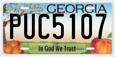 GA license plate PUC5107