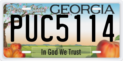 GA license plate PUC5114