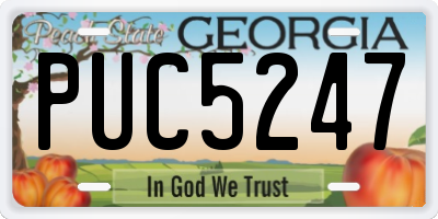 GA license plate PUC5247
