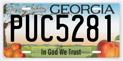 GA license plate PUC5281