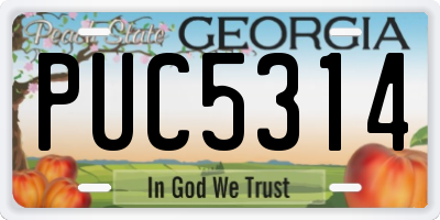GA license plate PUC5314