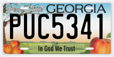 GA license plate PUC5341
