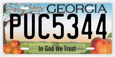 GA license plate PUC5344