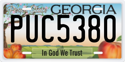 GA license plate PUC5380