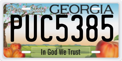 GA license plate PUC5385