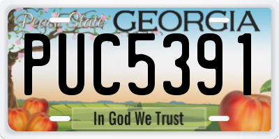 GA license plate PUC5391