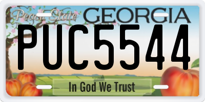 GA license plate PUC5544