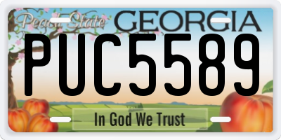 GA license plate PUC5589