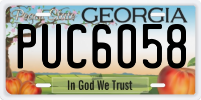 GA license plate PUC6058