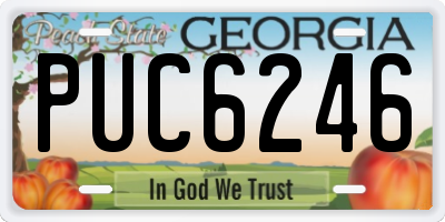 GA license plate PUC6246