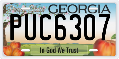 GA license plate PUC6307