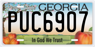 GA license plate PUC6907
