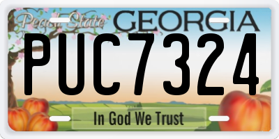 GA license plate PUC7324