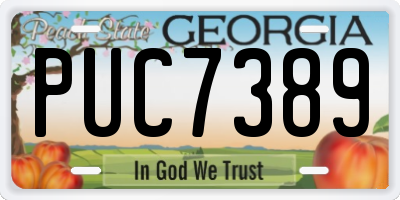 GA license plate PUC7389