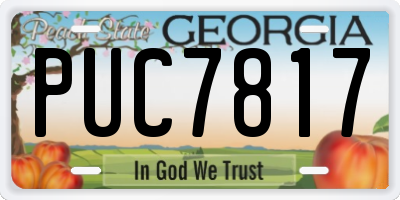 GA license plate PUC7817