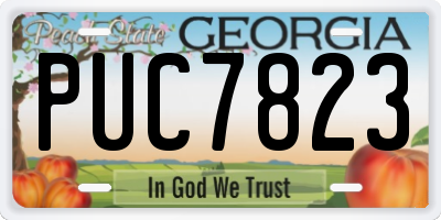 GA license plate PUC7823