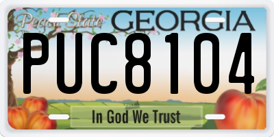 GA license plate PUC8104