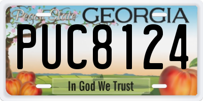 GA license plate PUC8124