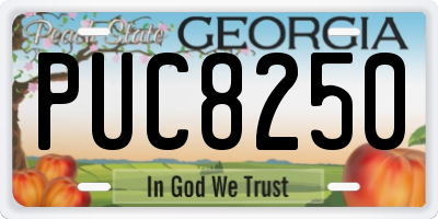 GA license plate PUC8250