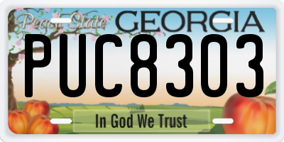 GA license plate PUC8303