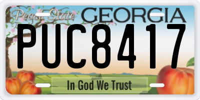 GA license plate PUC8417