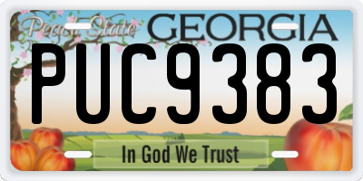 GA license plate PUC9383