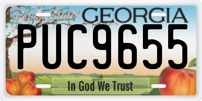 GA license plate PUC9655