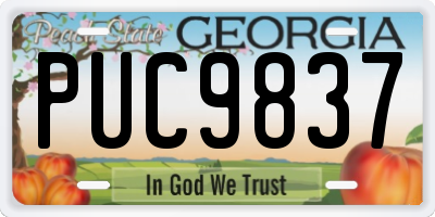 GA license plate PUC9837