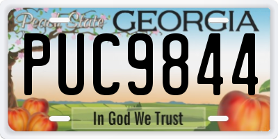 GA license plate PUC9844
