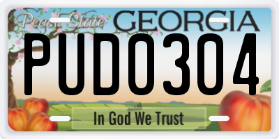 GA license plate PUD0304