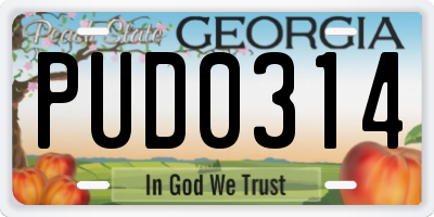 GA license plate PUD0314