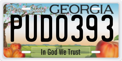 GA license plate PUD0393