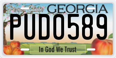 GA license plate PUD0589