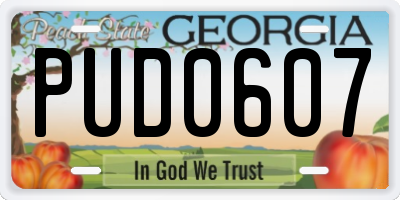 GA license plate PUD0607