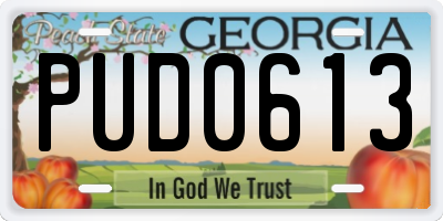 GA license plate PUD0613
