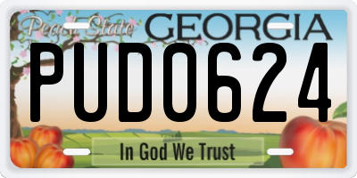 GA license plate PUD0624