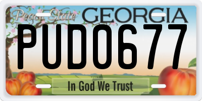 GA license plate PUD0677